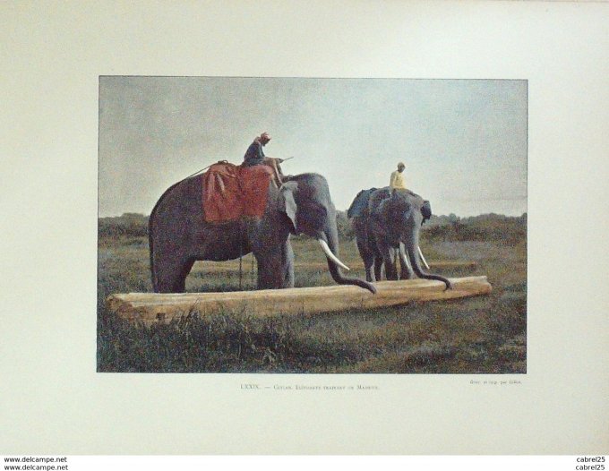 Skri Lanka Le gué devant COLOMBO