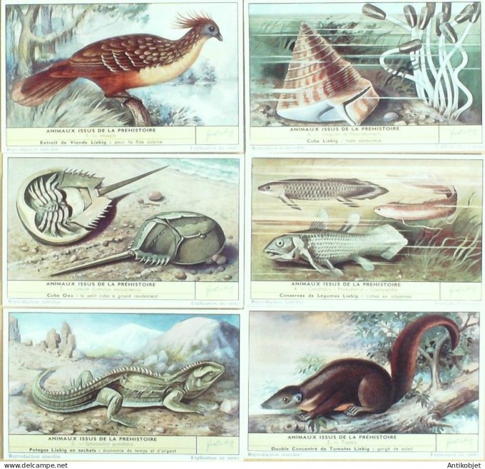 Chromo Liebig Sang 1705 Animaux prehistoriques viants (1959)