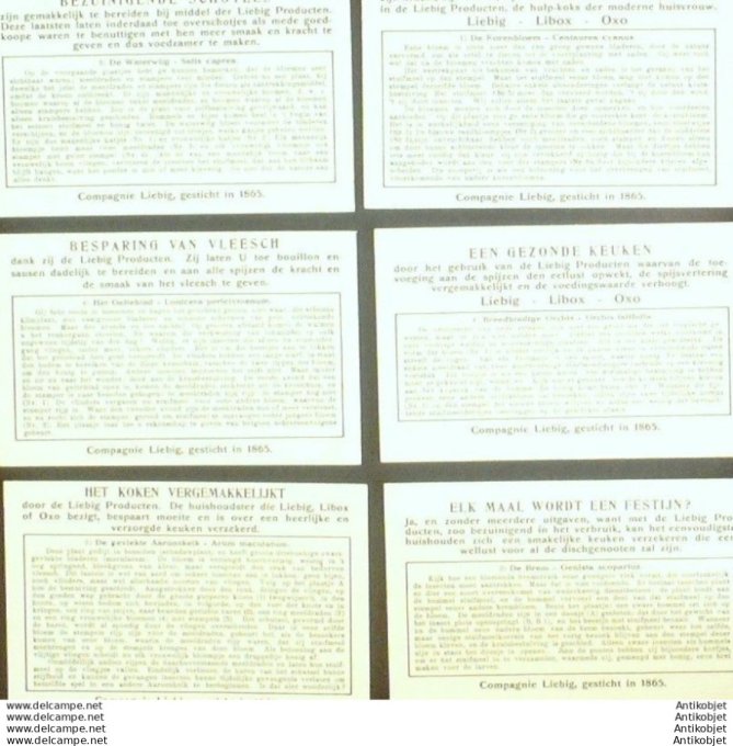 Chromo Liebig Sang 1290 Comment & pourquoi les fleurs (1934)