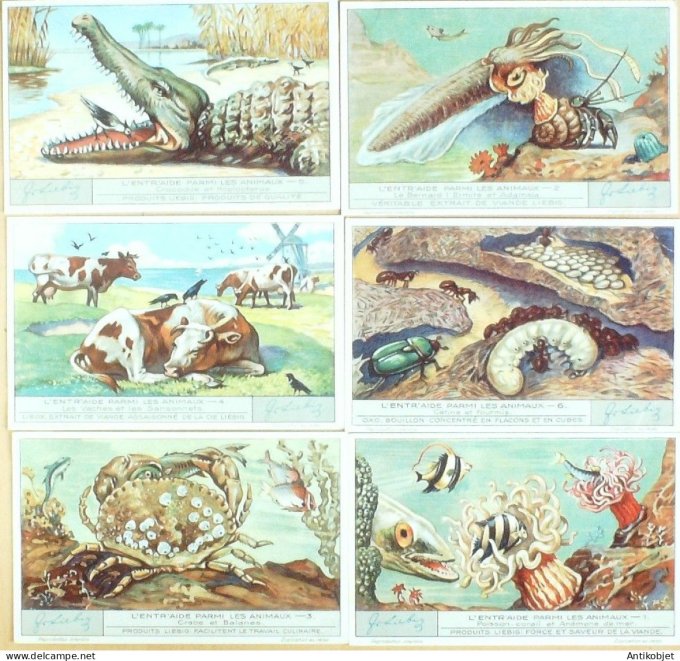 Chromo Liebig Sang 1283 Entr'aide parmi les animaux (l') (1933)