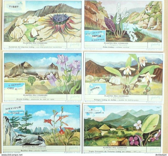 Chromo Liebig Sang 1672 Plantes peu connues (1957)