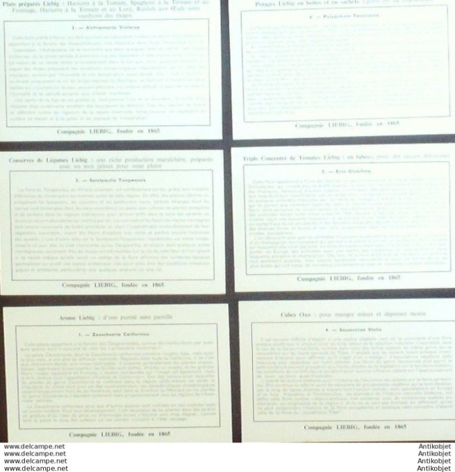 Chromo Liebig Sang 1672 Plantes peu connues (1957)