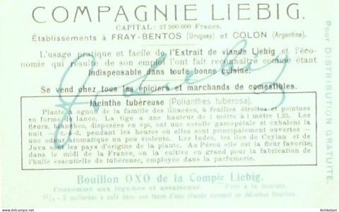 Chromo Liebig Sang  929 Fleurs nocturnes I (1908)