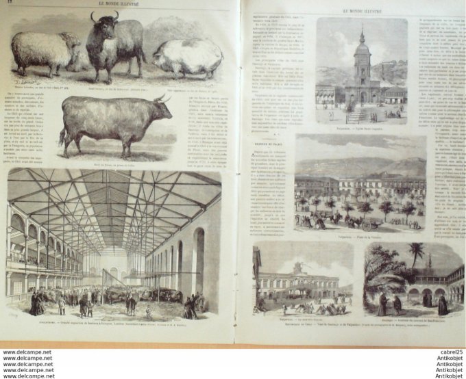 Le Monde illustré 1866 n°456 Algérie Geryville N'kraila Cap Lindeles Angleterre Islington Smithfield