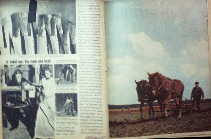 Revue Signal Ww2 1942 #  7
