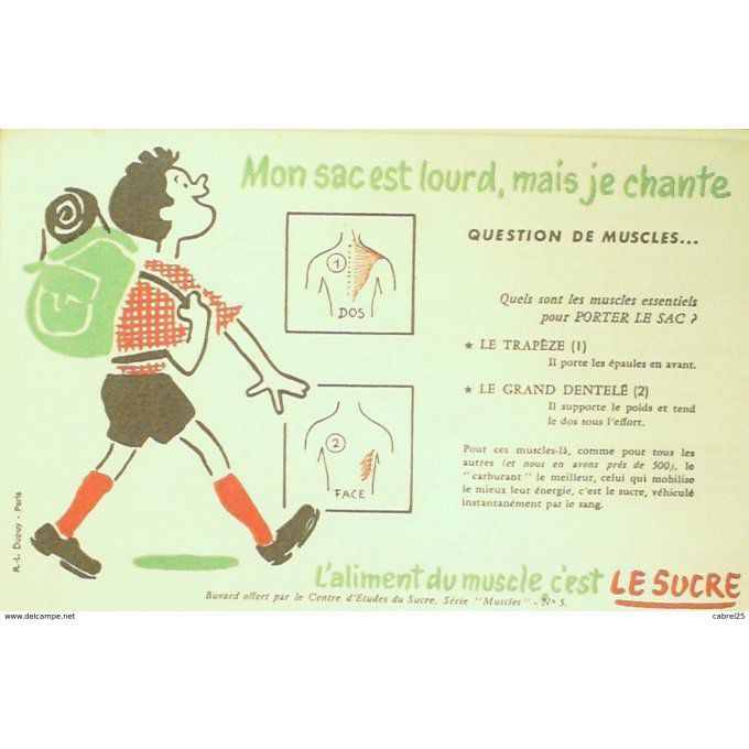 Buvard LE SUCRE AVIRON Muscle