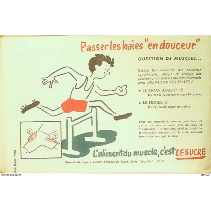 Buvard LE SUCRE ATHLETISME Muscle
