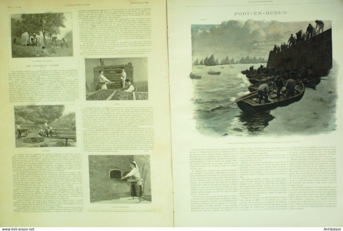 L'illustration 1901 n°3055 Nvelle Zélande Maoris Agen (47) Port-en-Bessin-Huppain (14)Italie Pompéi 