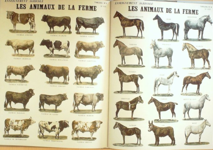 Les FERMES D'AUTREFOIS-Edouard LYNCH 2007