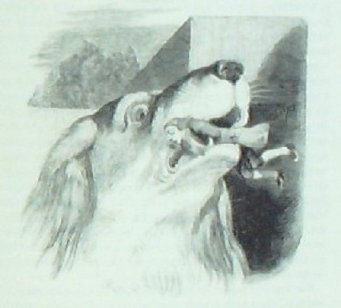 Grandville Voyages Gulliver par Swift Walter Scott 1856
