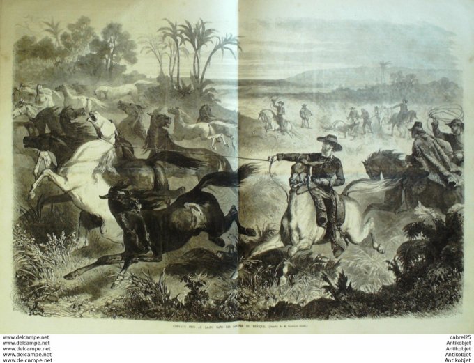 Le Monde illustré 1862 n°264 Herzégovie Vucuti Cristak Omer Pacha Pennsylvanie Pittsburg