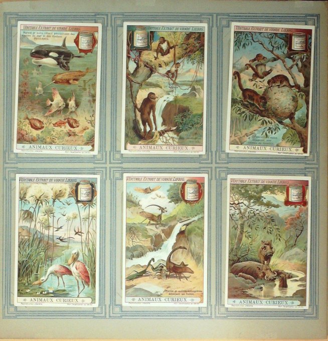 Animaux Curieux 1912