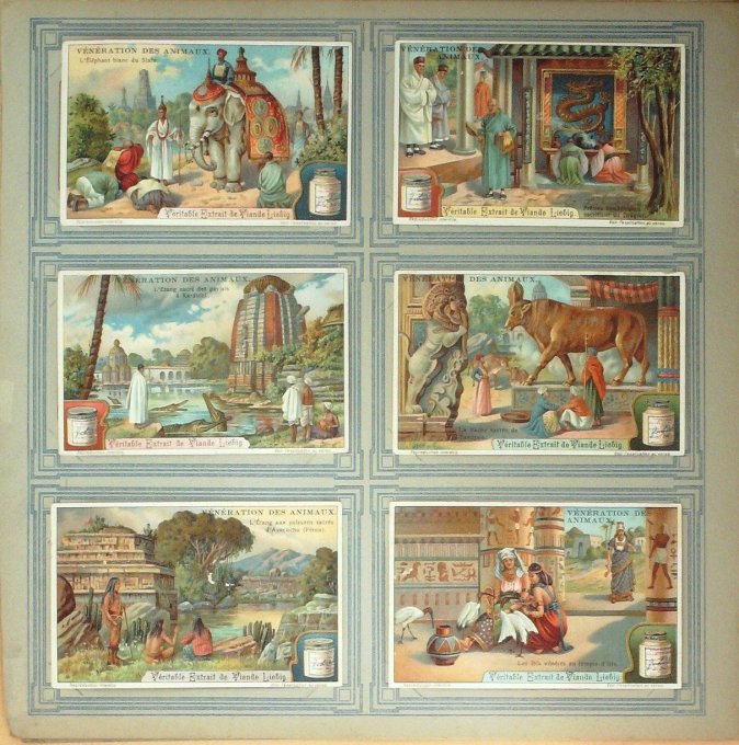 Vénération Des Animaux 1912