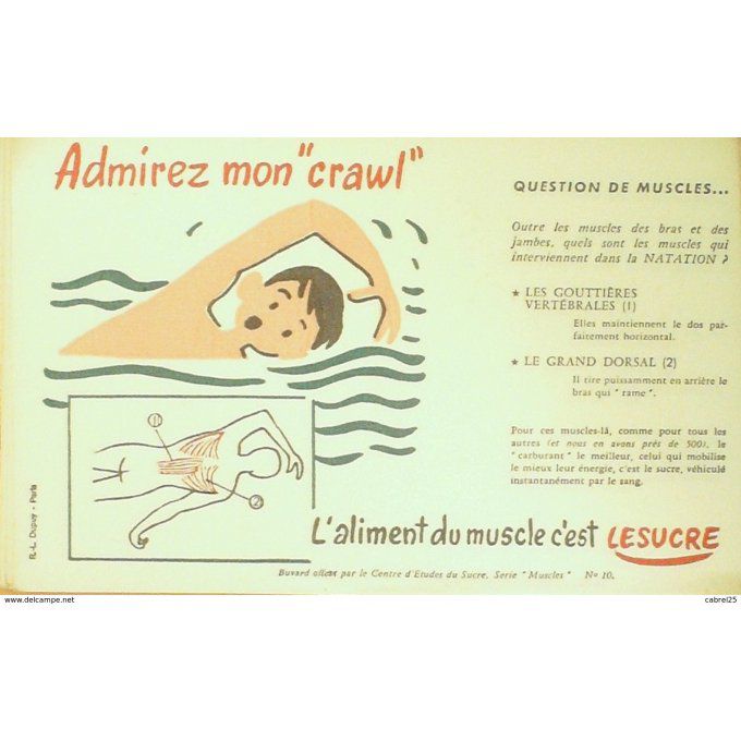 Buvard LE SUCRE NATATION Muscle