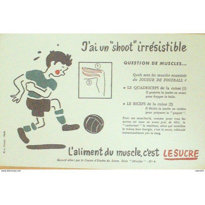 Buvard LE SUCRE FOOT BALL Muscle