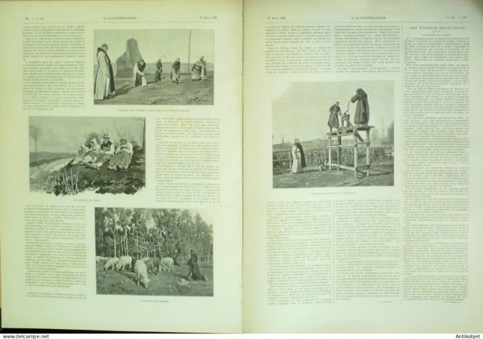 L'illustration 1901 n°3035 Procès Vera Gelo Toulon (8/3) Niger mission Joalland Creusot (71) Italie 