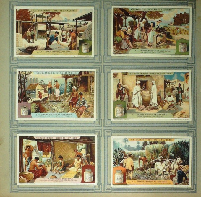 Plantes Fibreuse Et Leur Emploi 1922/23