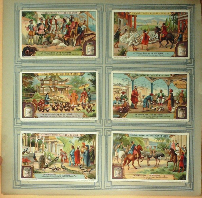 La Volaille Dans La Vie De L'homme 1922/23