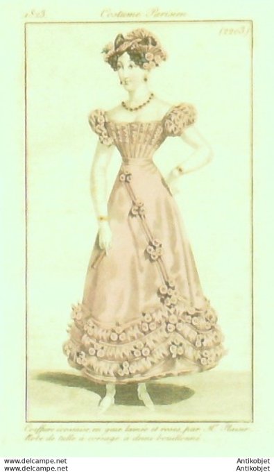 Costume Parisien 1823 # 2203 Robe tulle à corsage bouillonné