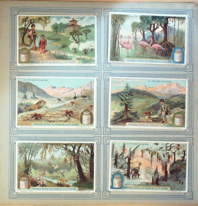 La Vie Des Plantes 1925