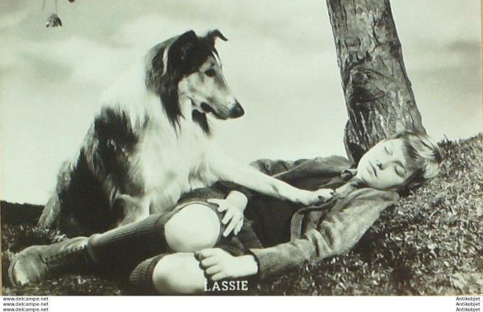 Lassie (Studio ) 1940
