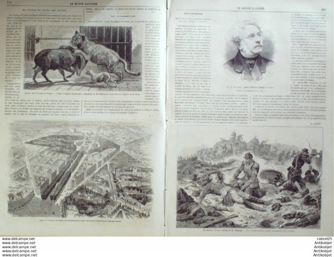 Le Monde illustré 1866 n°471 Guyanne Cayenne Oyapoch Islande Bruara Reikiavich