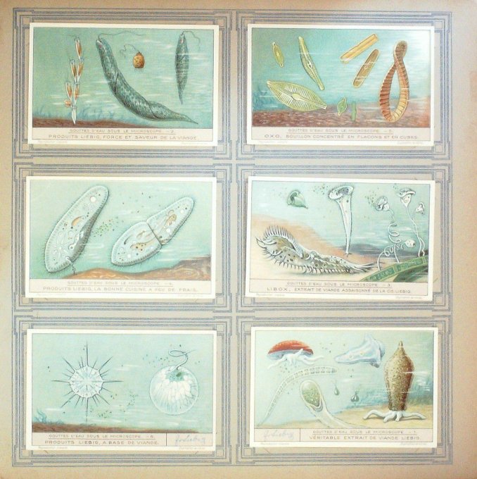 Gouttes D'eau Au Microscope 1930