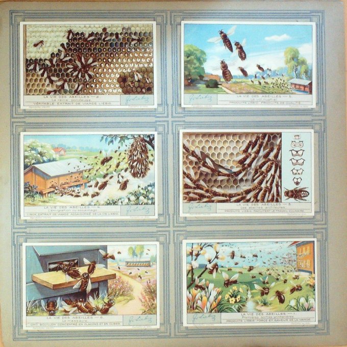 La Vie Des Abeilles 1933