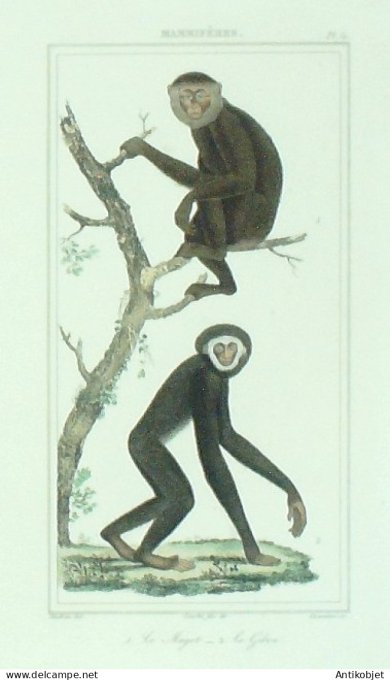 Magot Gibon 1833 Vauthier-Buffon