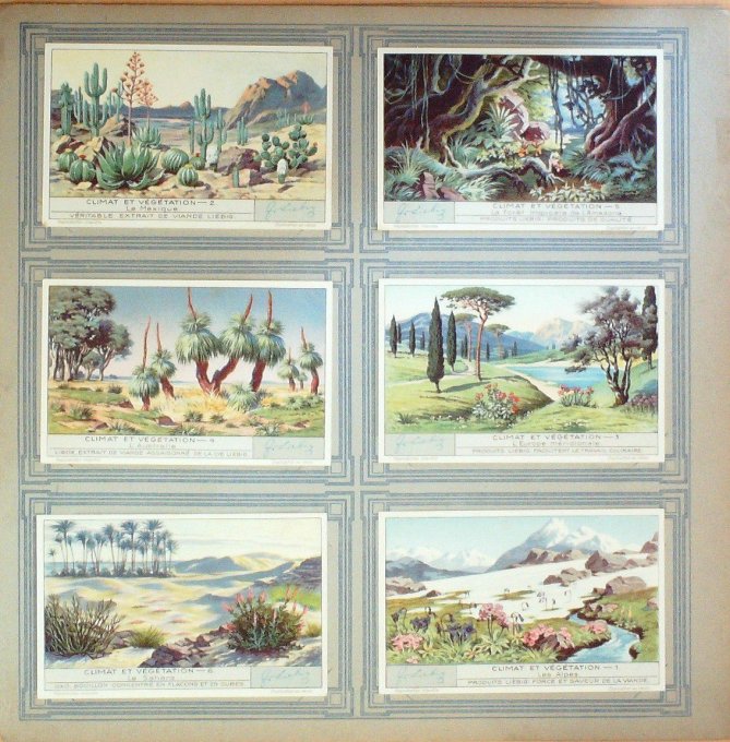 Climat Et Vegetation 1932