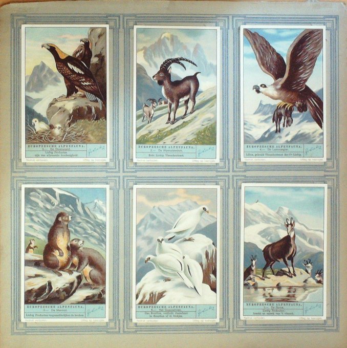 Faune Des Alpes 1932