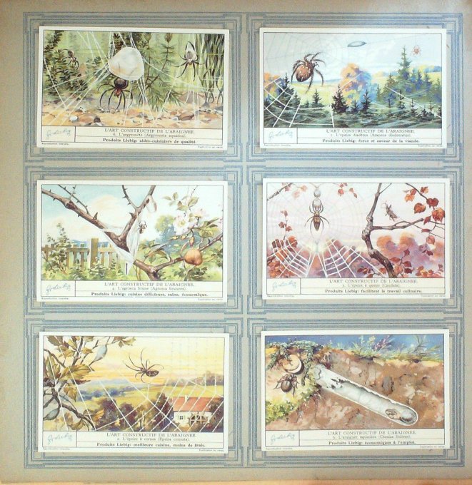 L'art Constructif De L'araignee 1933