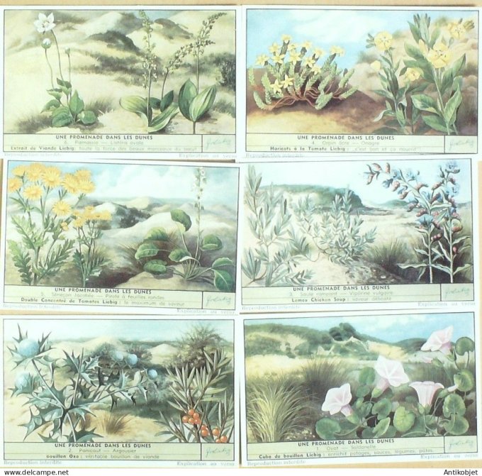 Chromo Liebig Sang 1622 Promenade dans les dunes (1955)