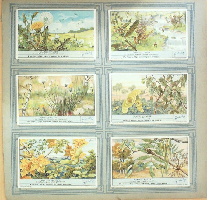 Graines Au Vent 1935