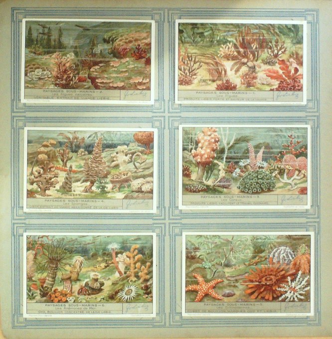 Paysages Sous Marins 1935