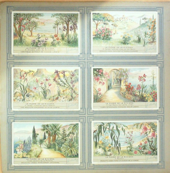 La Flore De La Riviera 1936