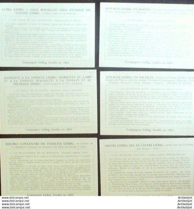 Chromo Liebig Sang 1637 Congo Arthropodes venimeux maladies (1956)