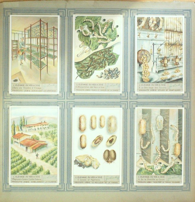 L'elevage Du Ver A Soie 1936
