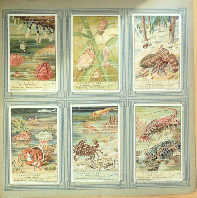 Les Crustacés 1937