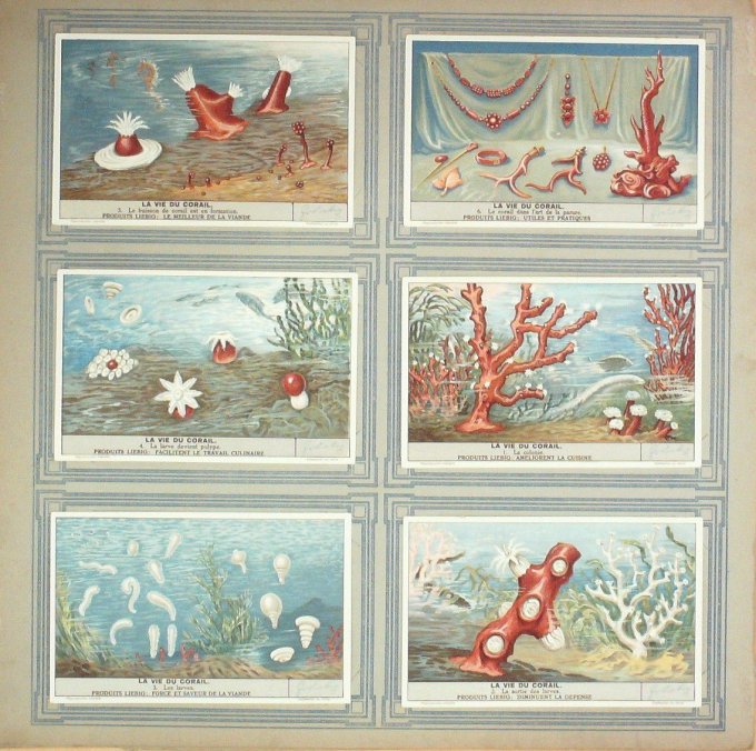 La Vie Du Corail 1938