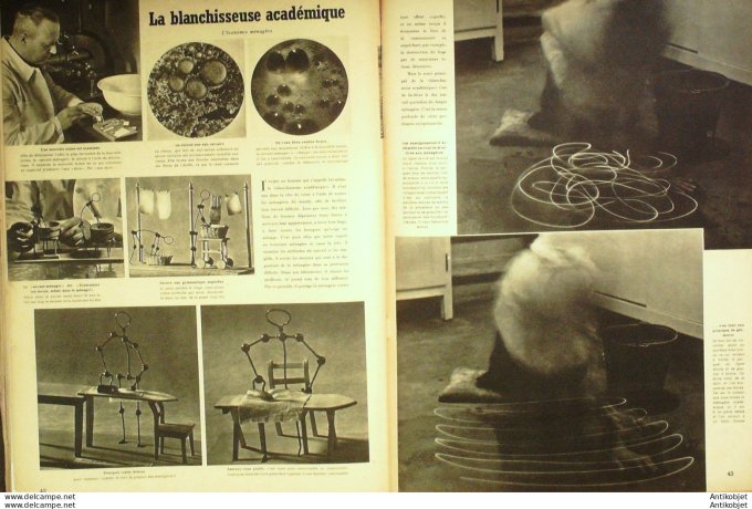 Revue Signal Ww2 1941 #  6