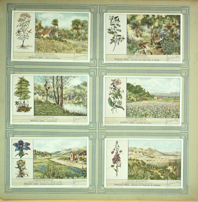 Plantes Medicinales 1939