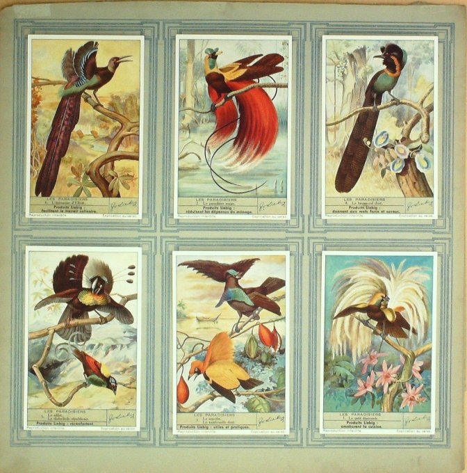 Les Paradisiers 1940