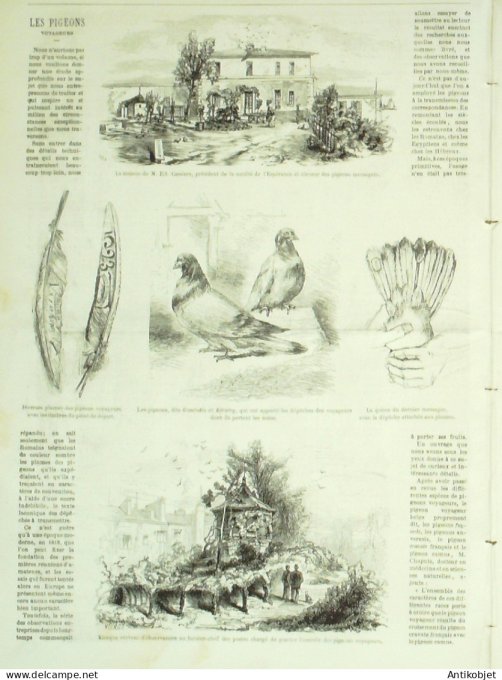 Le Monde illustré 1870 n°707 Tours (37) Gare Orléans Aurore Boréale Pigeons voyageurs