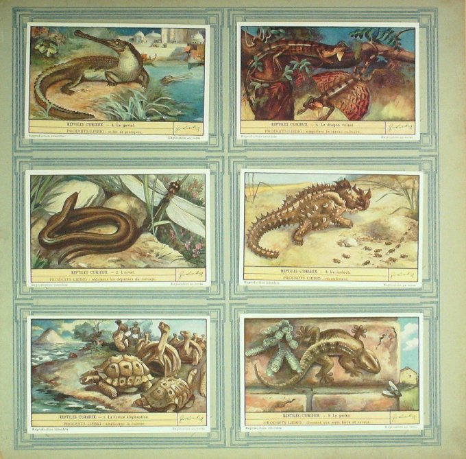 Reptiles Curieux 1942