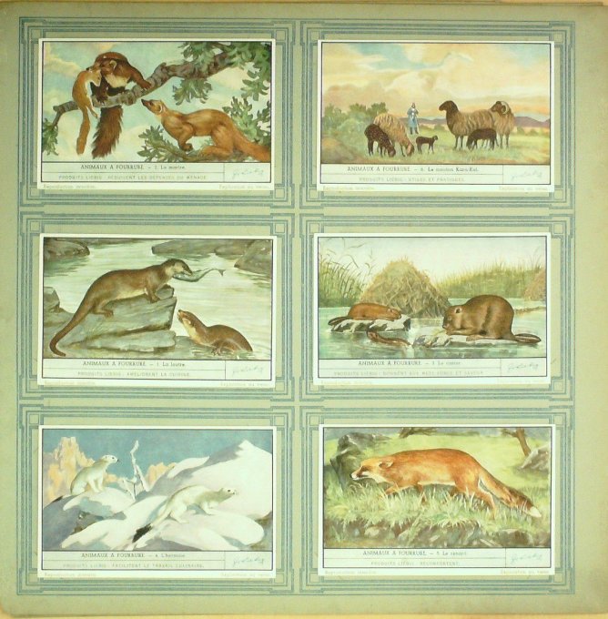 Animaux A Fourrure 1942
