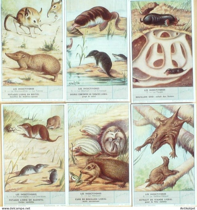 Chromo Liebig Sang 1645 Les Insectivores (1956)