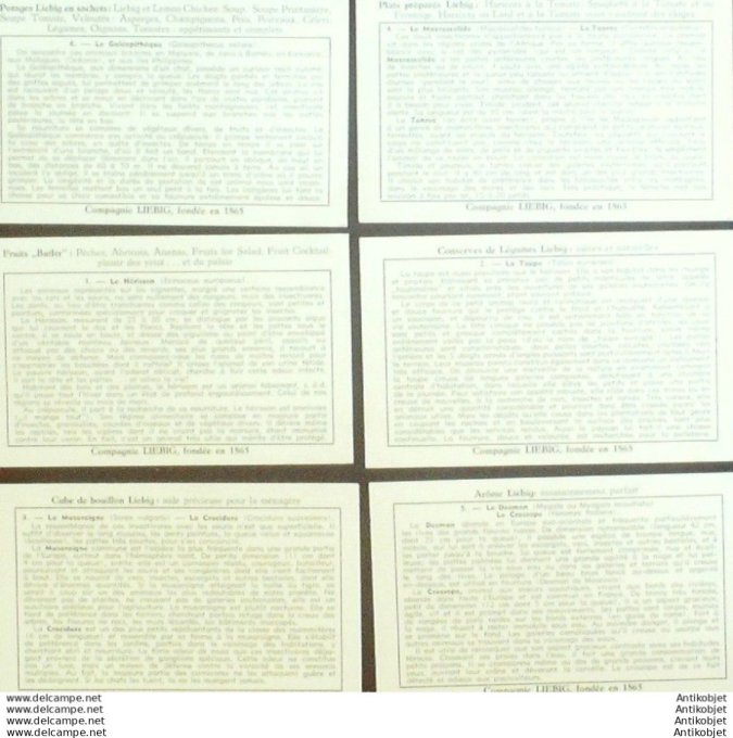 Chromo Liebig Sang 1645 Les Insectivores (1956)