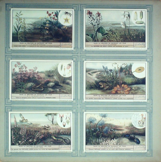 Dans La Bruyere En Ouvrant Les Yeux 1943