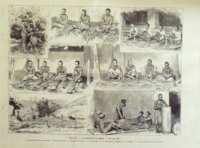 L'Univers illustré 1884 n°1514 EGYPE Soudan Chaggias, Teb TONKIN Sontay, Ha Brai INDE Ceylan Cannell